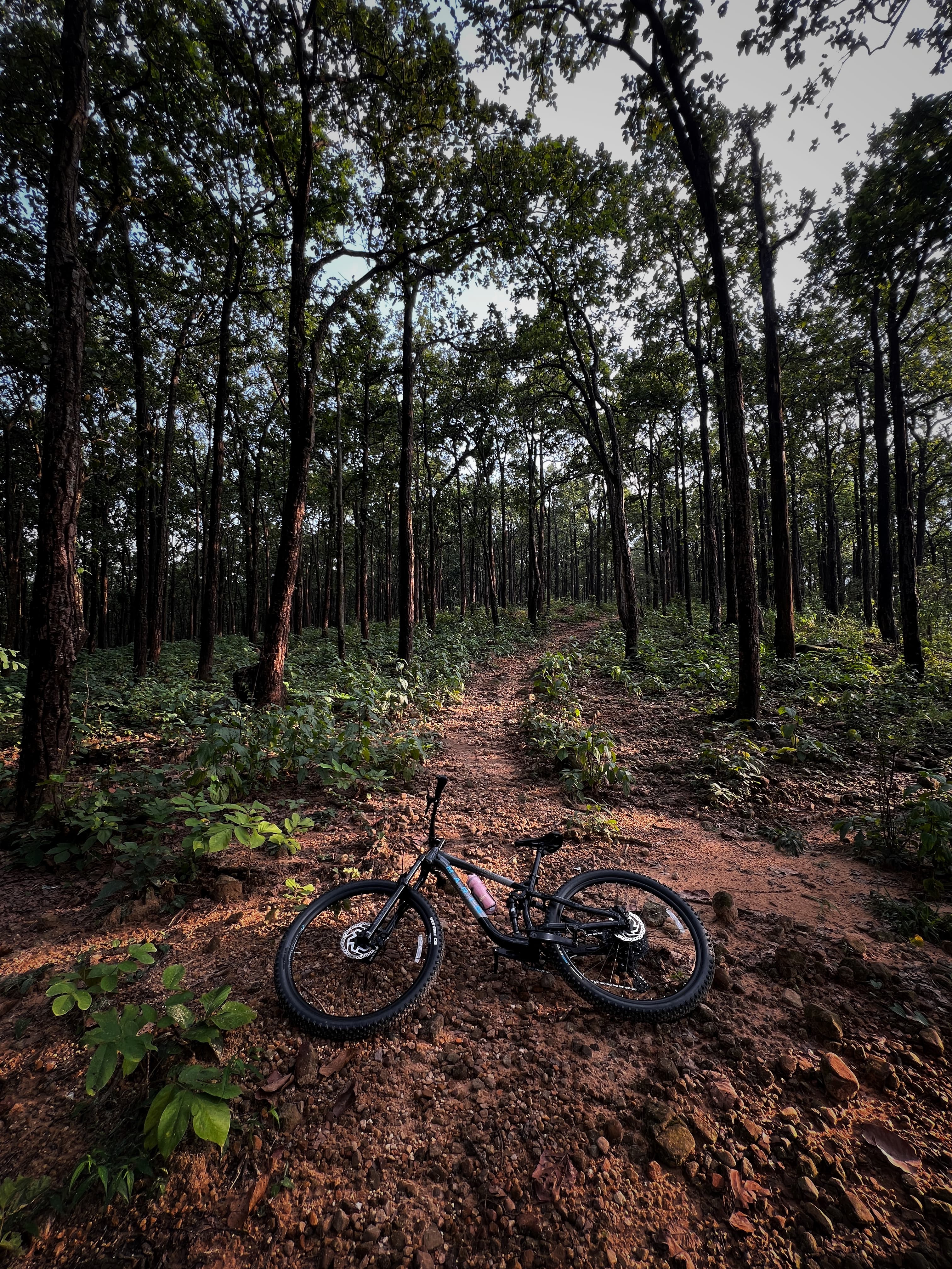 Mountain biking
